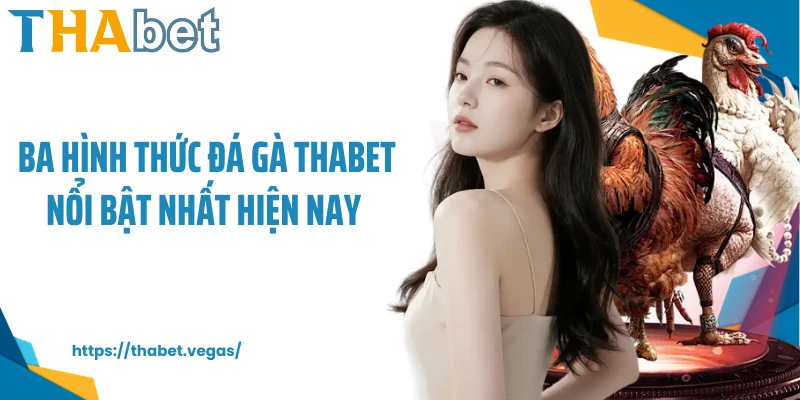 Ba hình thức đá gà Thabet nổi bật nhất hiện nay