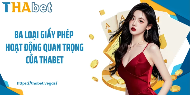 Ba loại giấy phép hoạt động quan trọng của Thabet