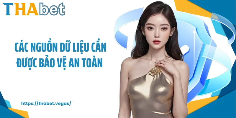 Các nguồn dữ liệu cần được bảo vệ an toàn 