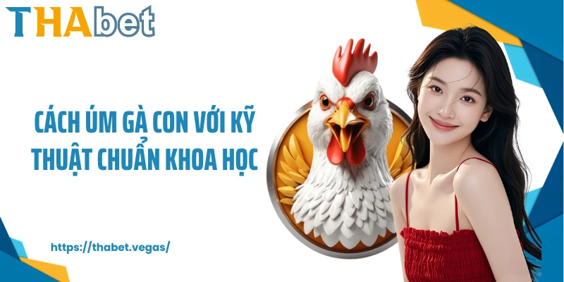 Cách úm gà con với kỹ thuật chuẩn khoa học