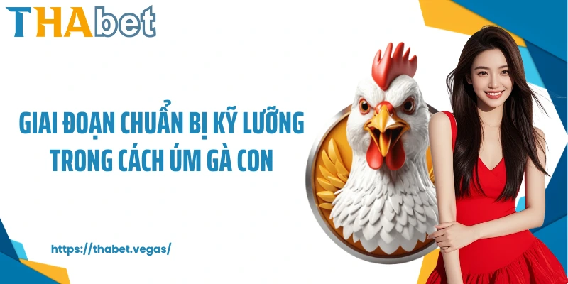 Giai đoạn chuẩn bị kỹ lưỡng trong cách úm gà con