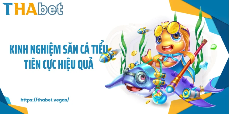 Kinh nghiệm săn cá tiểu tiên cực hiệu quả