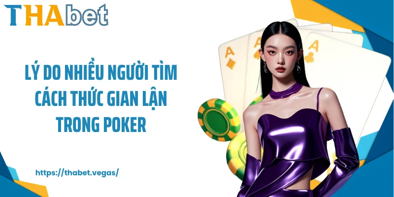 Lý do nhiều người tìm cách thức gian lận trong Poker