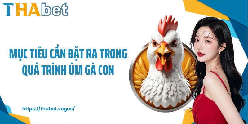 Mục tiêu cần đặt ra trong quá trình úm gà con